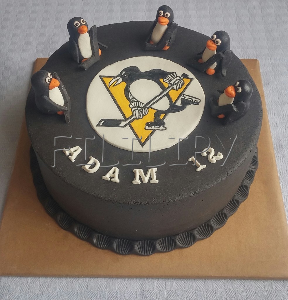Pittsburgh penguins